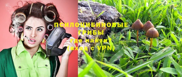 прущие крисы Алексин
