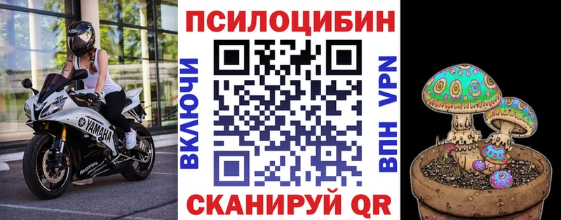 ссылка на мегу зеркало  Алзамай  маркетплейс телеграм  Псилоцибиновые грибы прущие грибы 